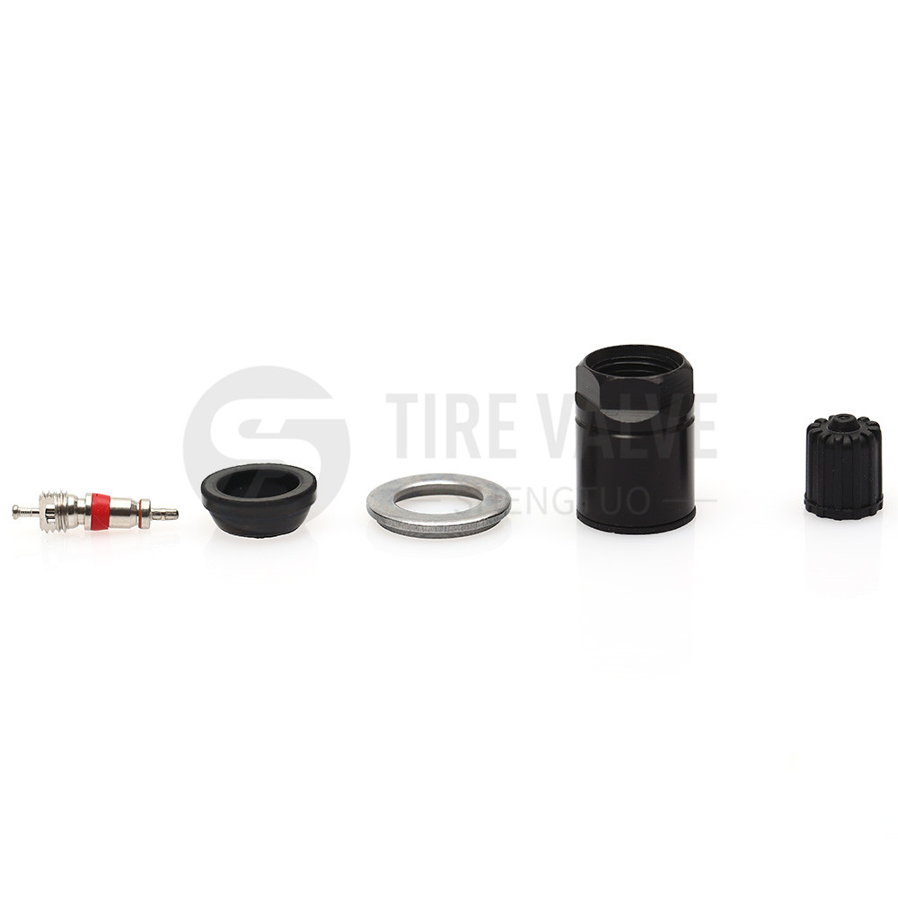 TPMS Valve Parts 2