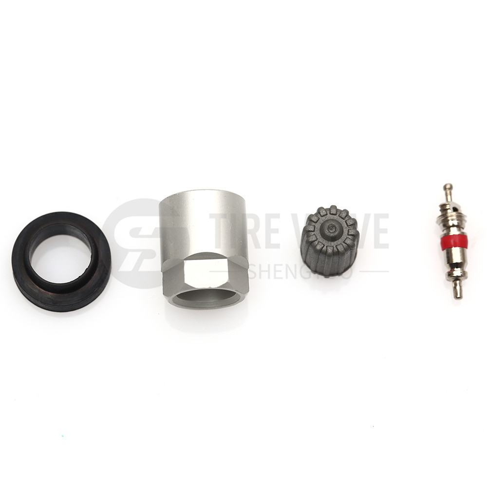 TPMS Valve Parts 3